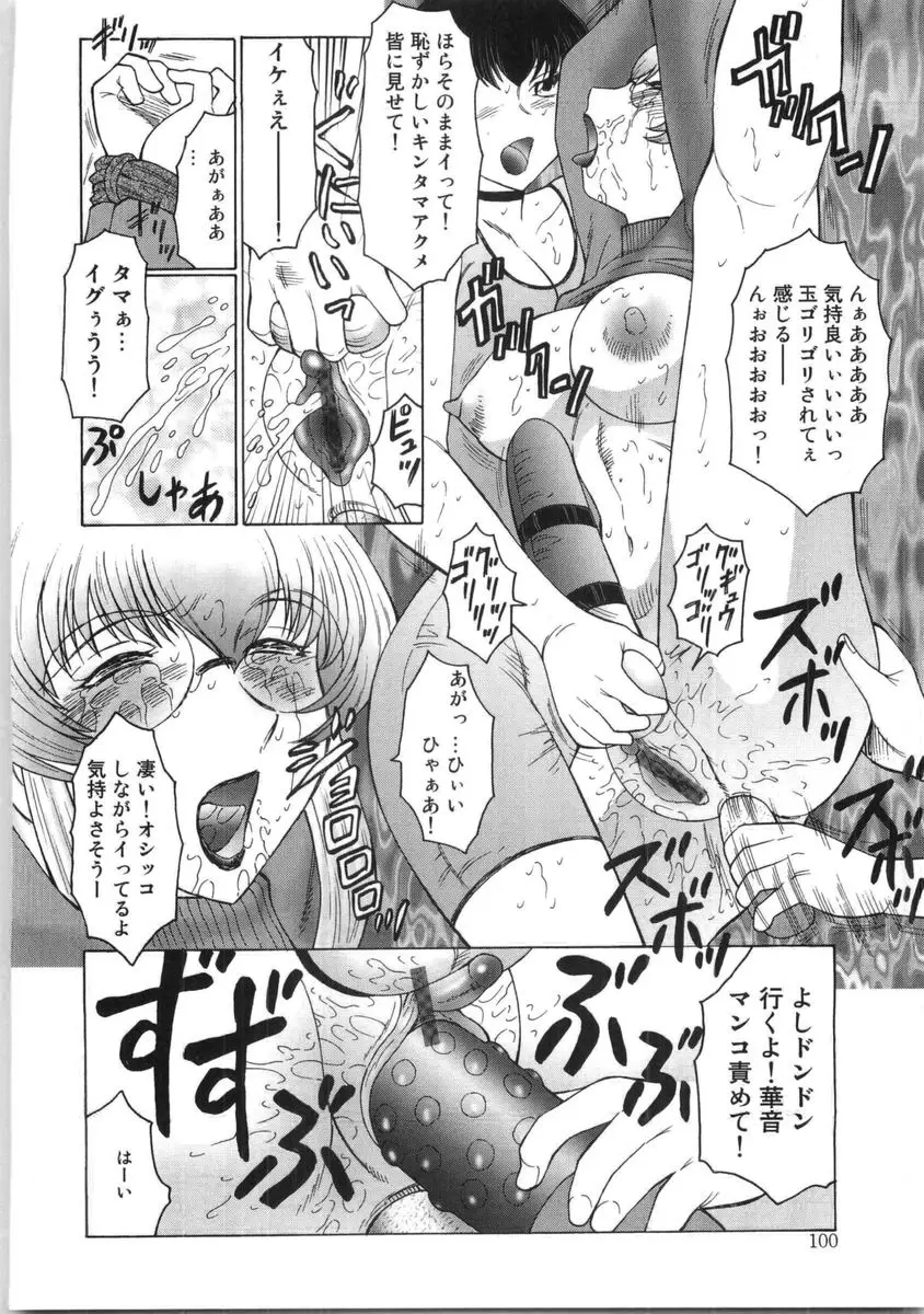 Page 101
