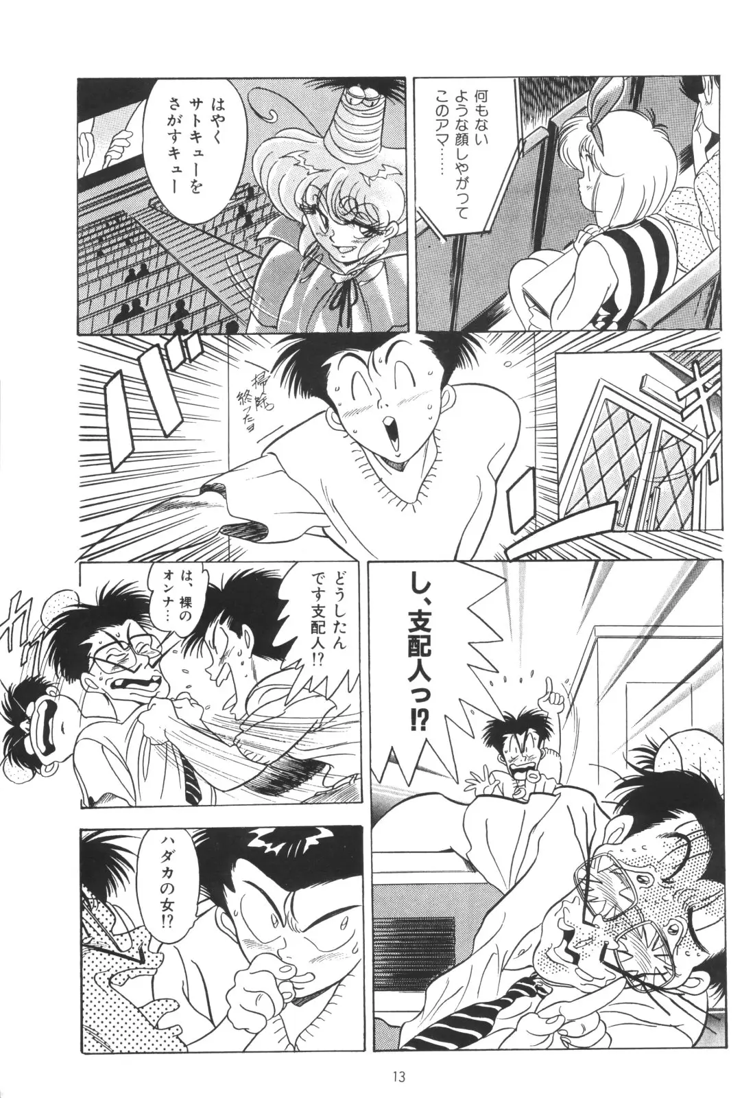 Page 13