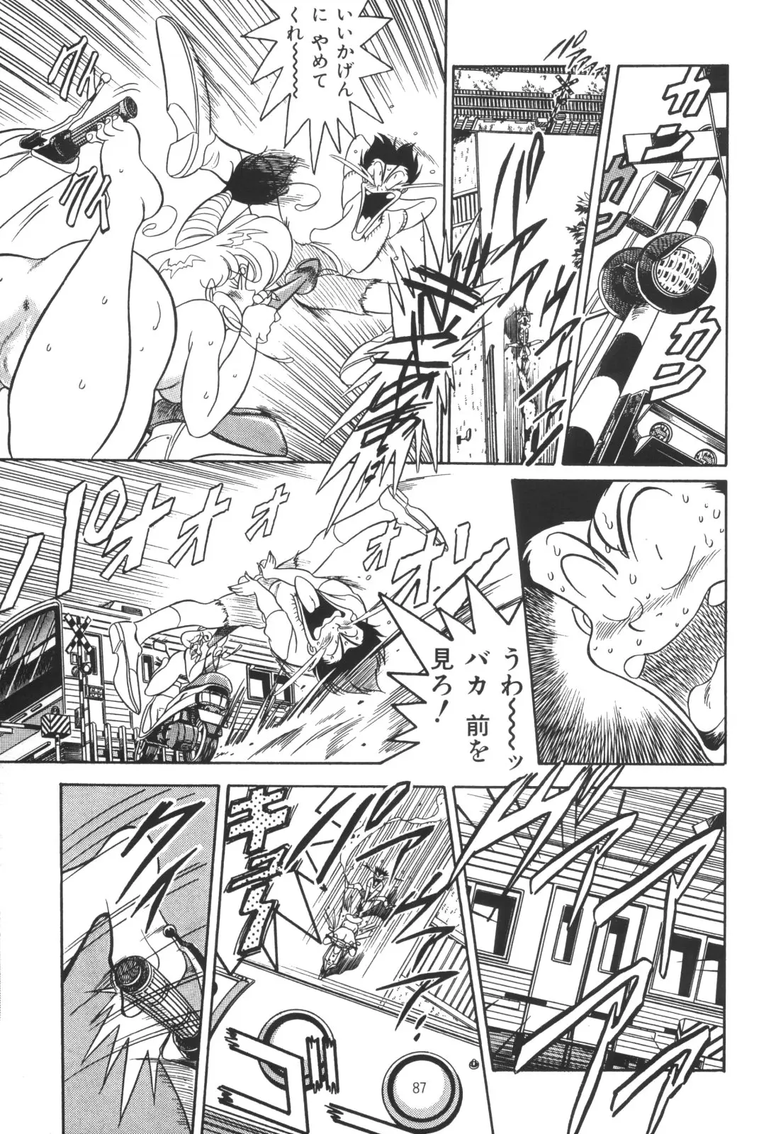 Page 87