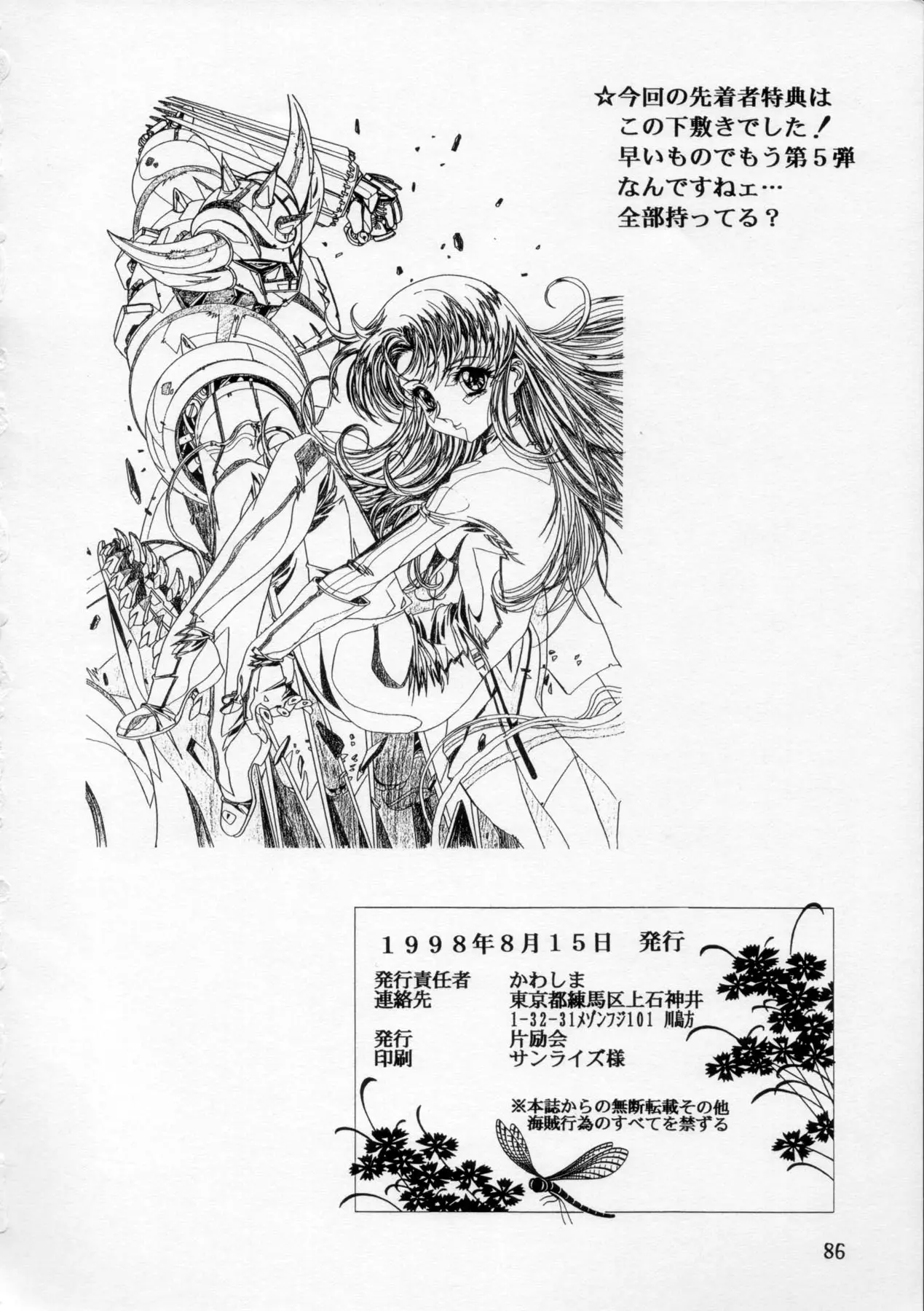 Page 87