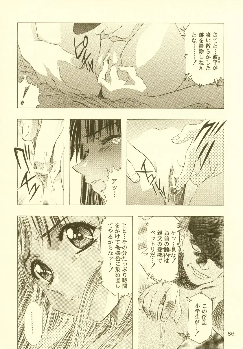 Page 87