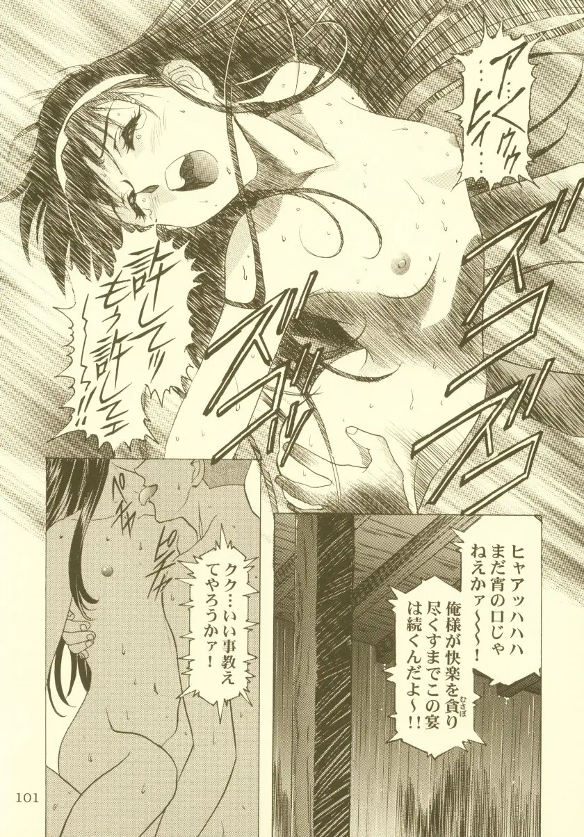 Page 102