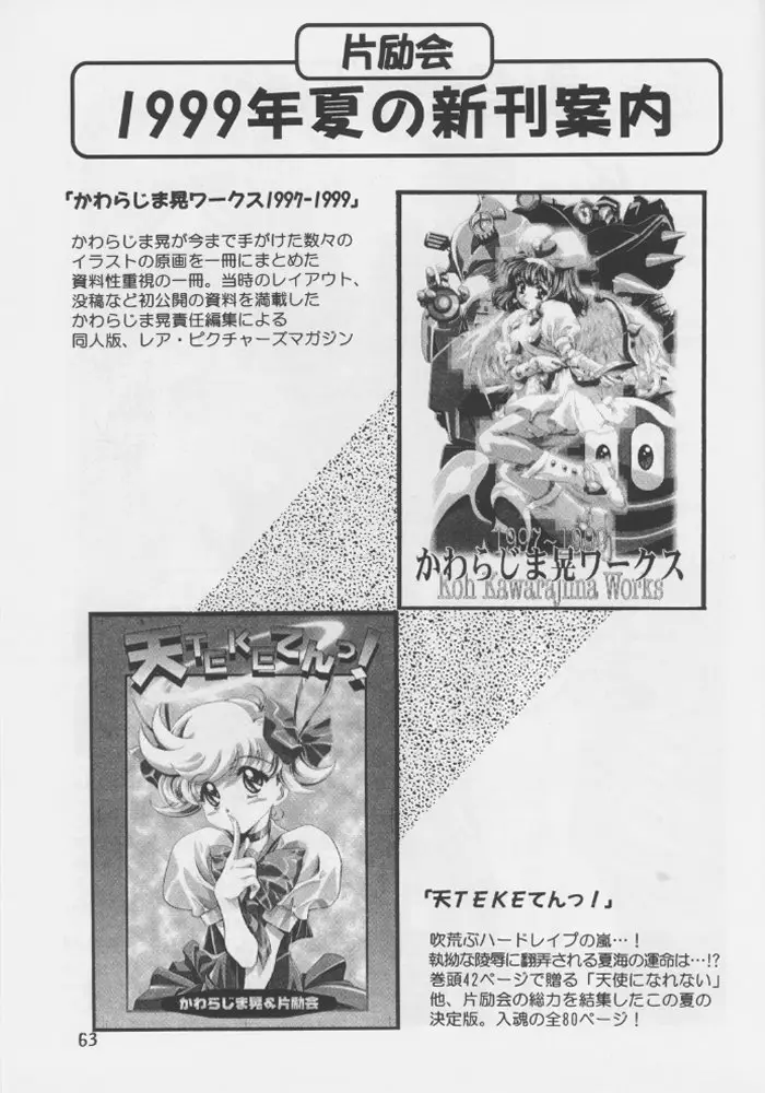 Page 61