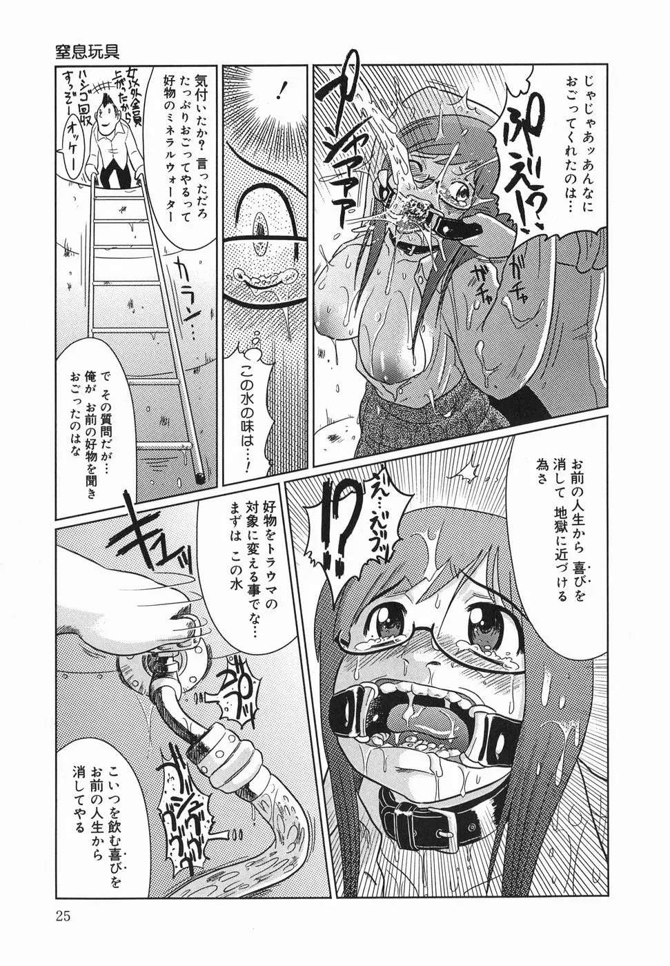 Page 27