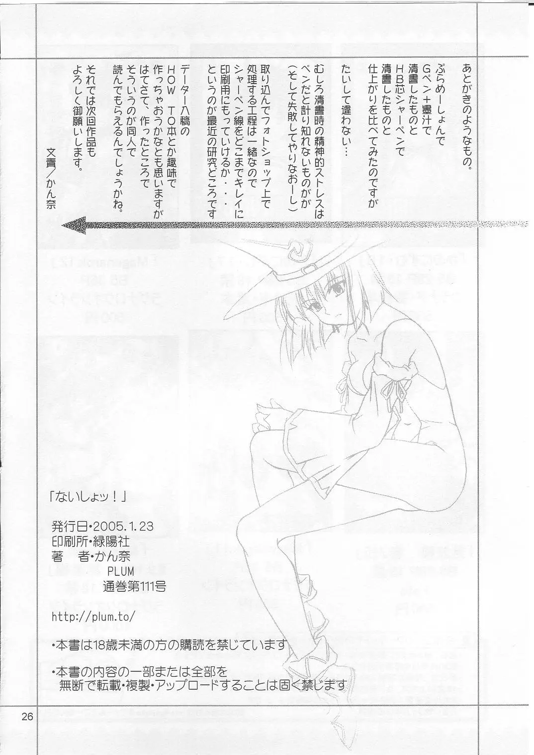 Page 25