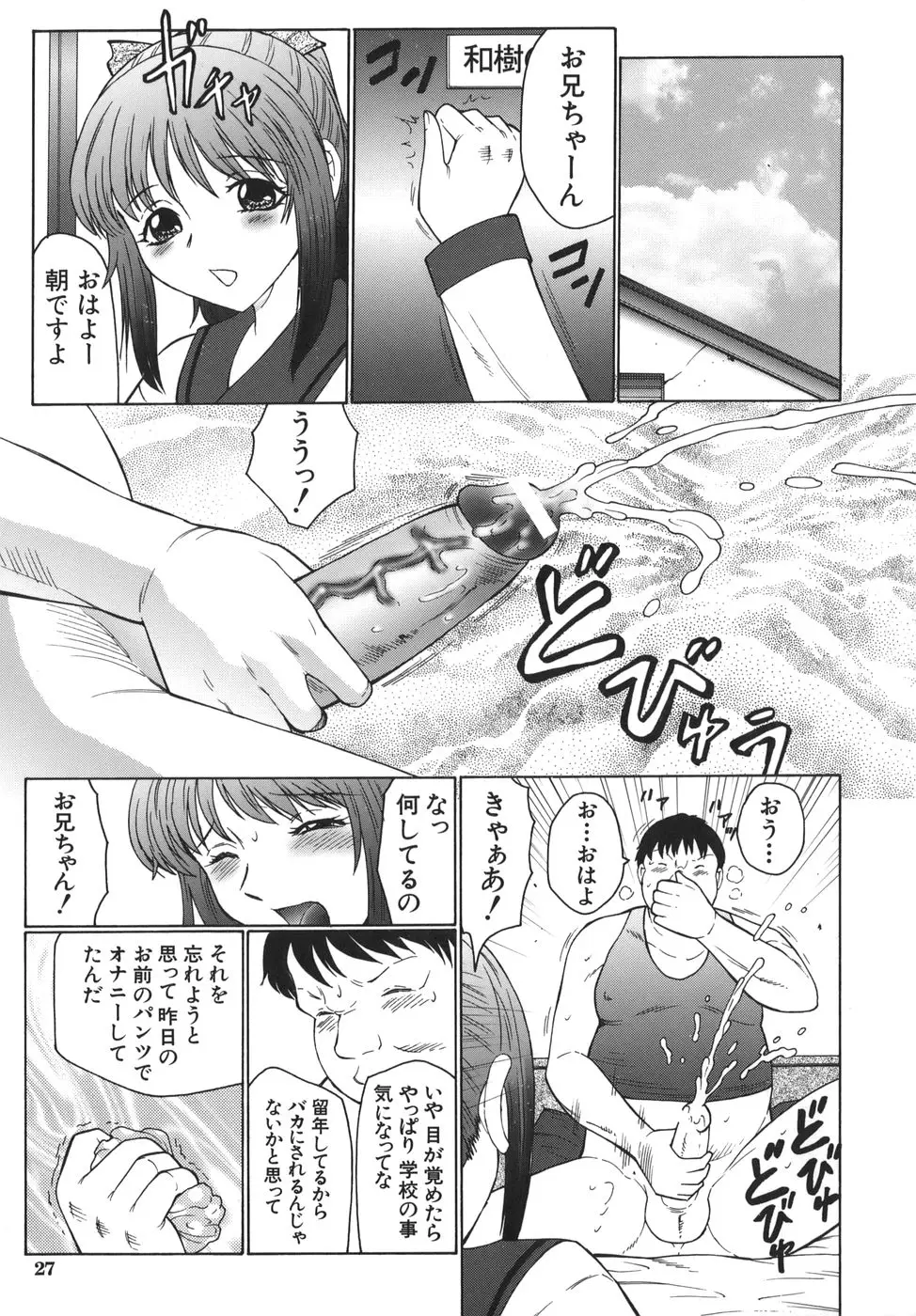 Page 27
