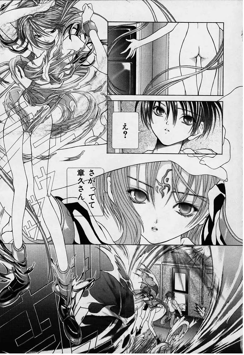 Page 205