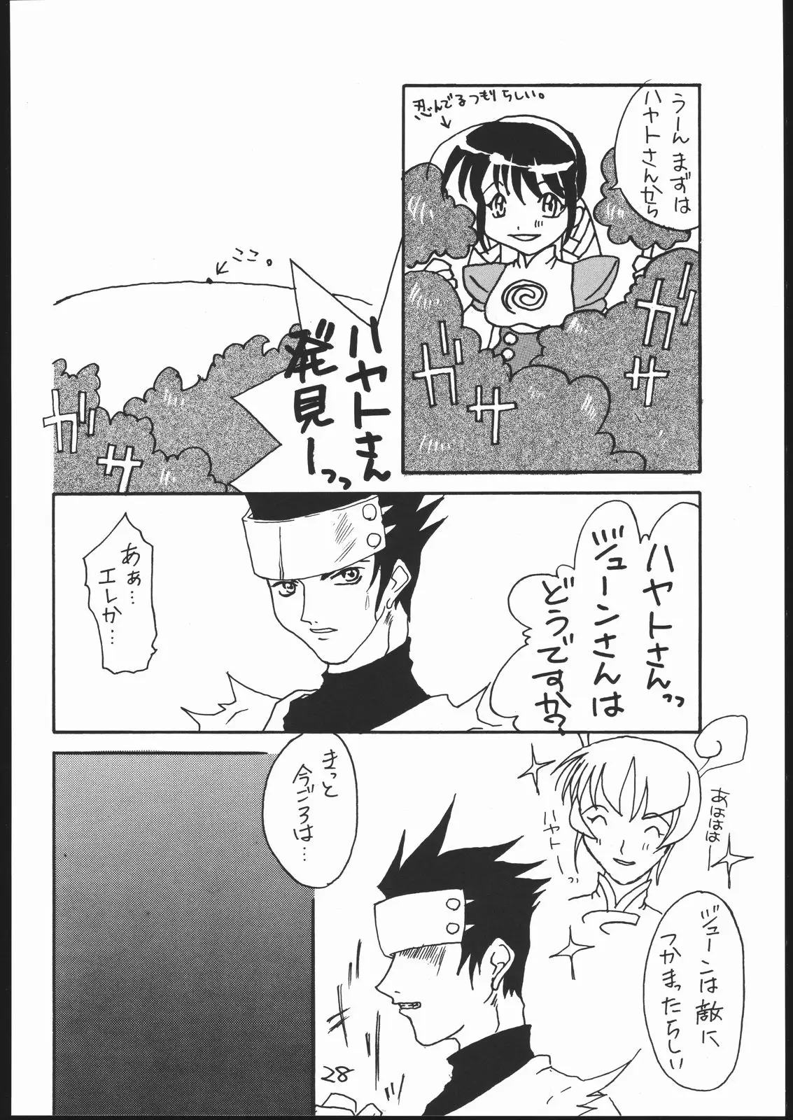 Page 27