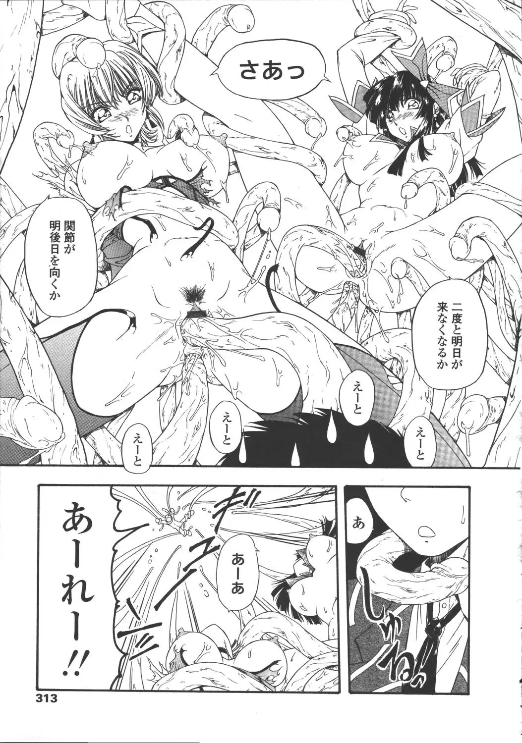 Page 309