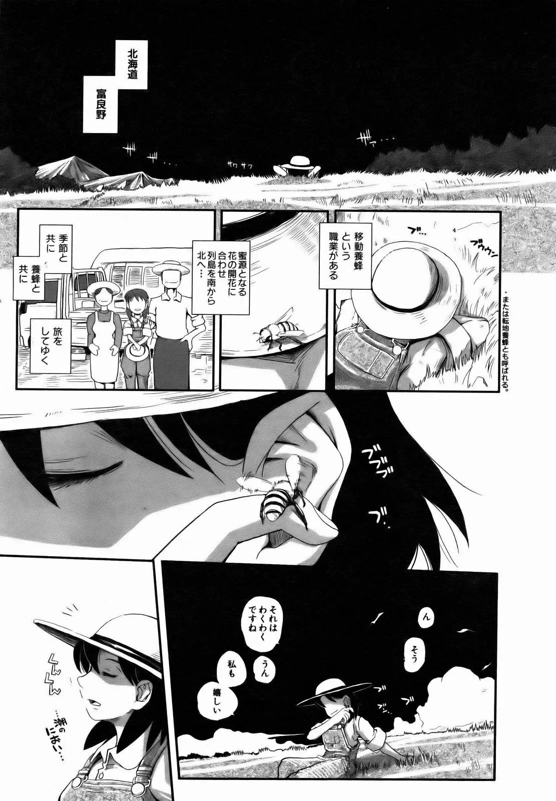 Page 291