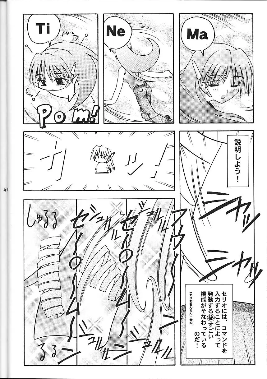Page 43