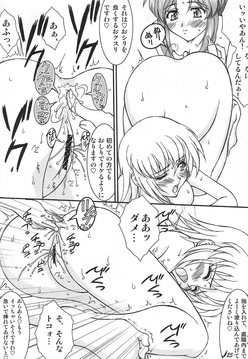 Page 25