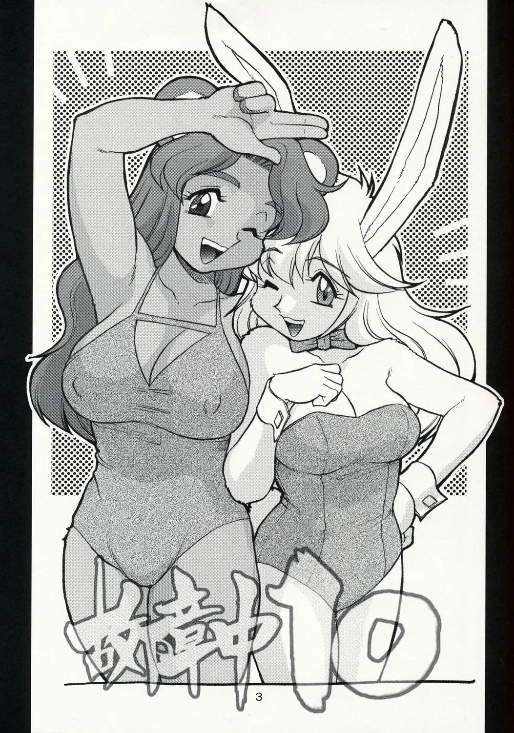 Page 3