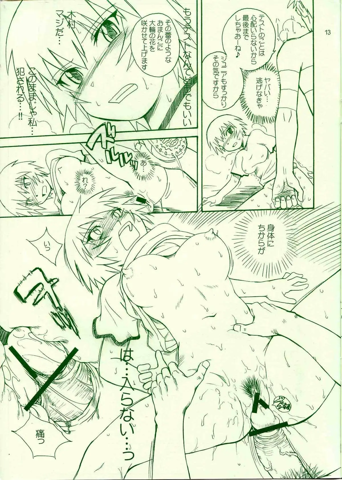 Page 13