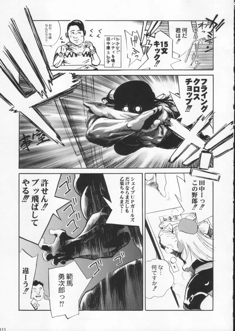 Page 111
