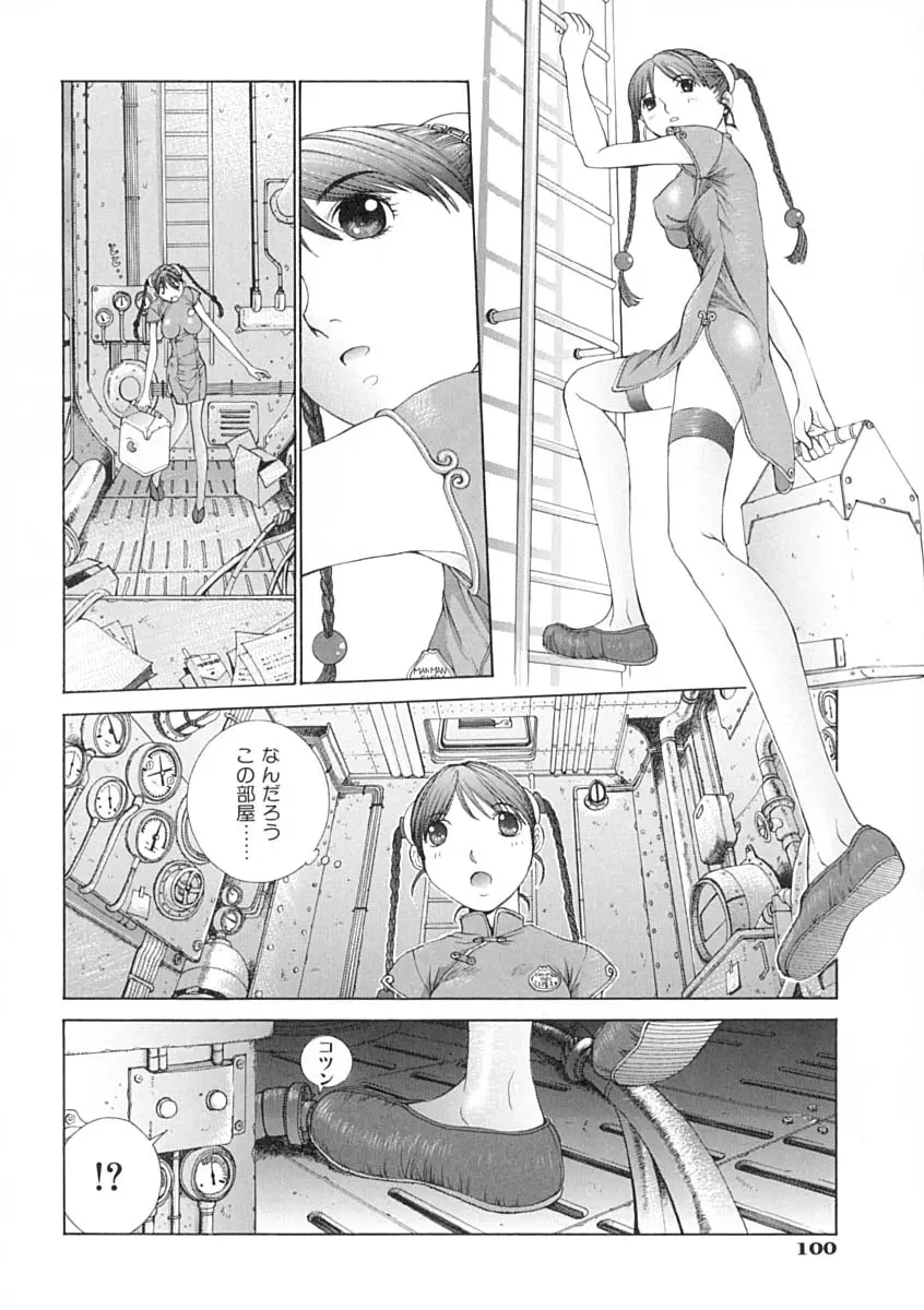 Page 101