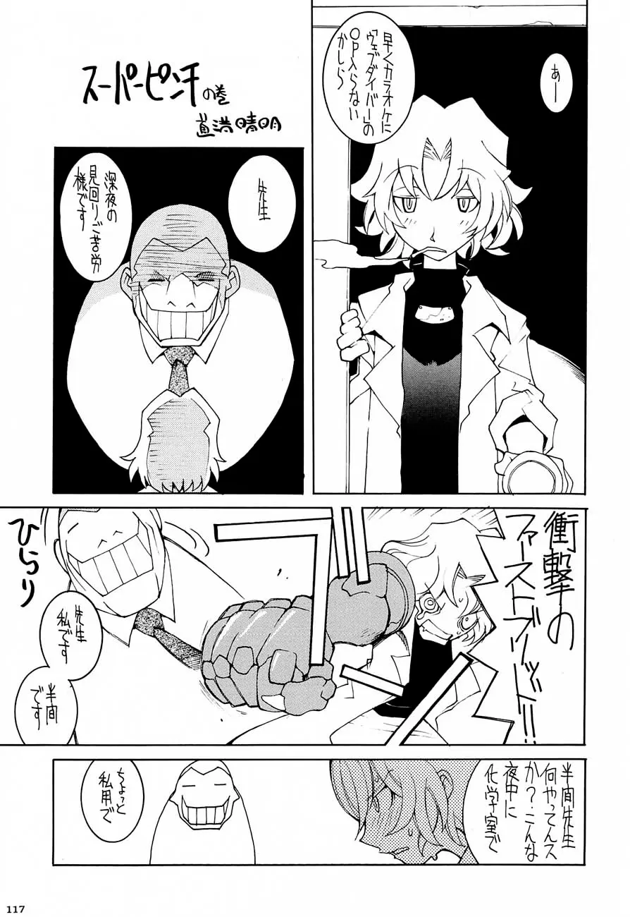 Page 116