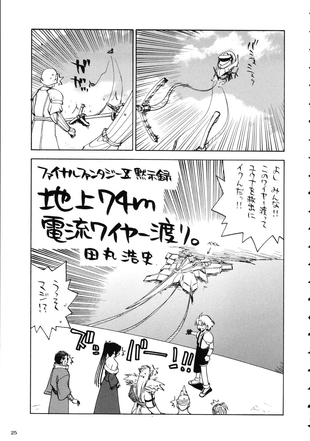 Page 25